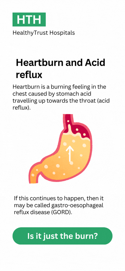 animation of acid reflux